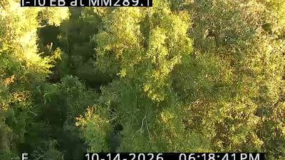 Live webcam in Wellborn, United States