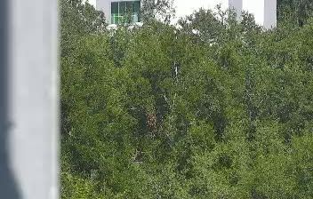 Live webcam in unknown, United States