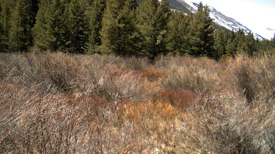 Live webcam in Crested Butte, Stati Uniti d'America