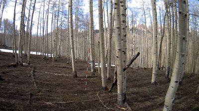 Live webcam in Mount Crested Butte, ایالات متحده آمریکا