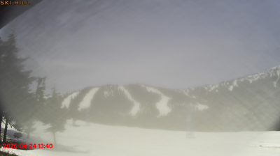 Live webcam in Area C, Canada