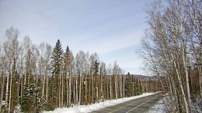 Live webcam in Musk Ox, ایالات متحده آمریکا