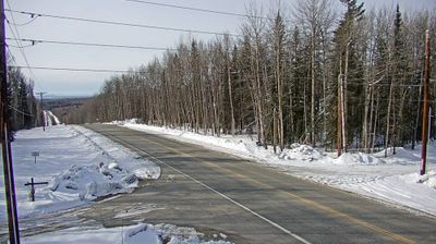 Live webcam in Musk Ox, ایالات متحده آمریکا
