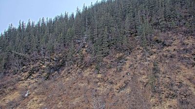 Live webcam in Valdez, ایالات متحده آمریکا