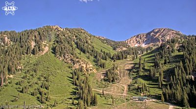 Live webcam in Alta, United States