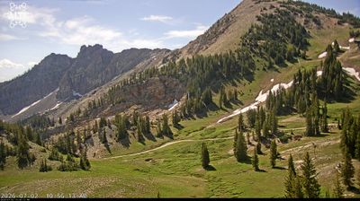 Live webcam in Alta, संयुक्त राज्य अमेरिका