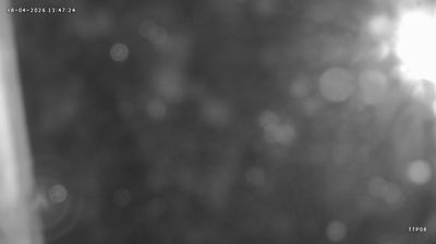 Live webcam in พระแสง, تایلند