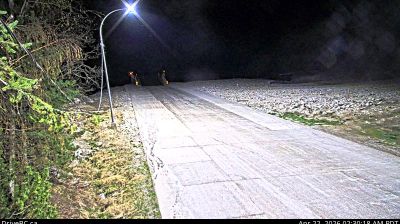 Live webcam in Area B, Canadà