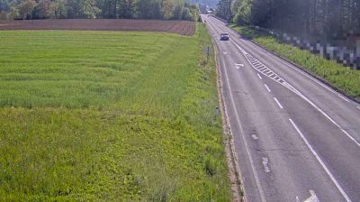 Radlje ob Dravi
