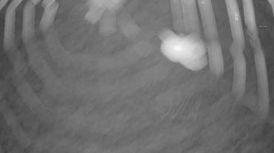 Webcam Gorenja vas-Poljane: R2-407, Gorenja vas - Ljubljanica, Lučine