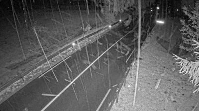 Webcam Semic: R1-216, Črmošnjice - Črnomelj, Črmošnjice