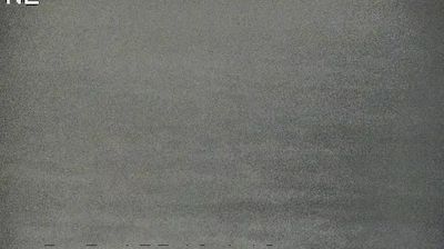 Live webcam in Saint Petersburg, United States