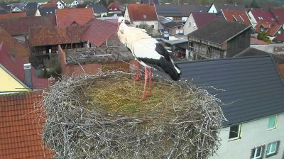 Тракия: Тодор Каблешков: Germany