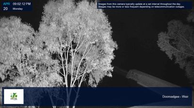 Live webcam in unknown, Austràlia