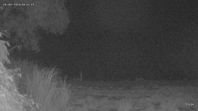 Live webcam in Phatthalung, Thailandia