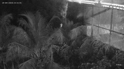 Live webcam in คีรีรัฐนิคม, تایلند