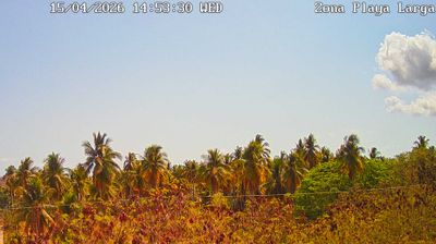 Ampliacion las Chiveras › West