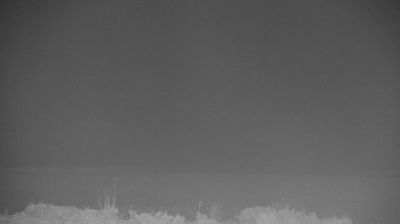Live webcam in Sea Isle City, United States