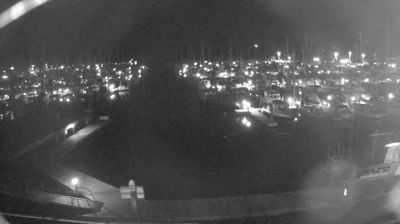 Picton › North-east: Waikawa Marina
