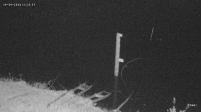 Live webcam in ปากพนัง, تایلند