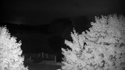 Webcam Zalec: Webcam Ribnik Vrbje - Žalec