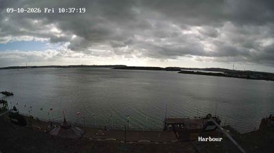 Cobh Municipal District › South
