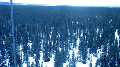 Live webcam in unknown, Spojené státy americké