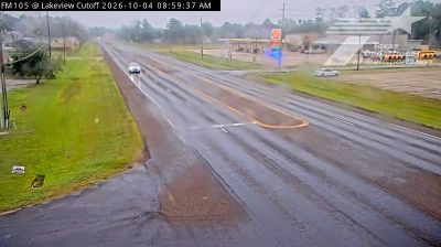 Live webcam in Pine Forest, United States