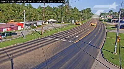 Live webcam in Pine Forest, United States