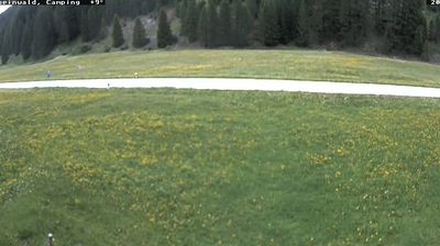 Live webcam in Rheinwald, Suïssa