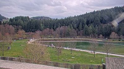 Cublize: Lac des Sapins