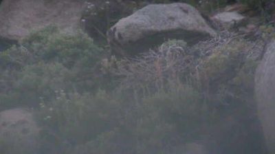 Live webcam in unknown, Съединени американски щати