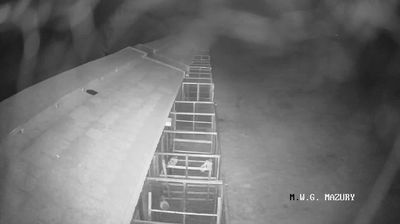 Live webcam in Popowo, Polònia