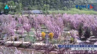 Live webcam in 武当乡, 中国