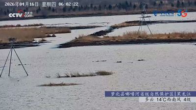 Live webcam in 团结镇, 中国