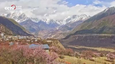 Live webcam in 派镇, 中国