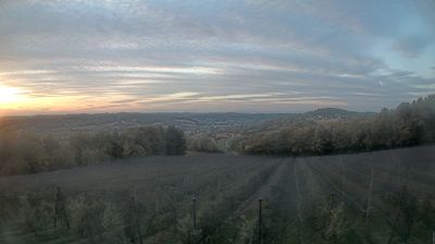 Webcam Gnas › North-west: Obstbau Haas - Blick auf