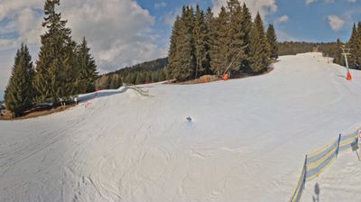 Eberstein › North: Steinerhütte/Saualpe