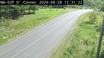 Live webcam in Gillies Township, Canada