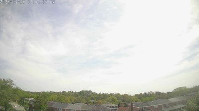 Arbutus › Νότια