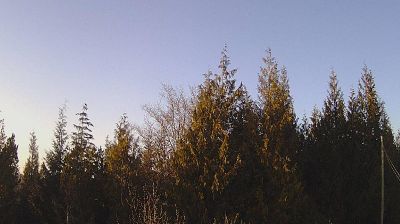 Live webcam in Area A, Canada