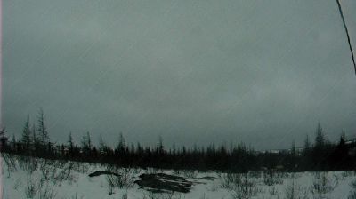 Live webcam in Marys Harbour, Kanada