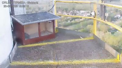 Live webcam in Varsòvia, Polònia