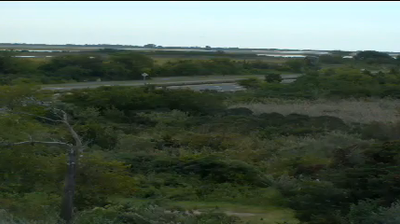Live webcam in Bellmore, United States