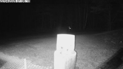Live webcam in Oro-Medonte, Canadà