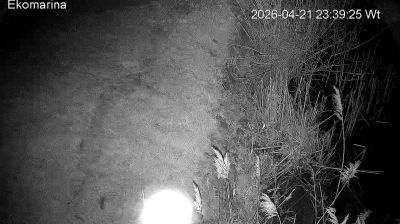 Live webcam in Zalewo, Polònia