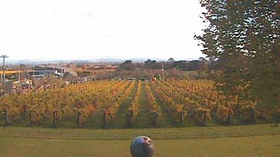 Live webcam in Havelock North, 新西兰