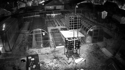 Live webcam in Родниковское городское поселение, Rusia