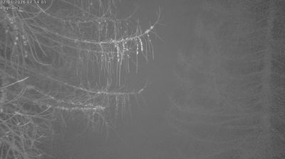 Bognanco › South-east