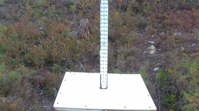 Live webcam in unknown, United States